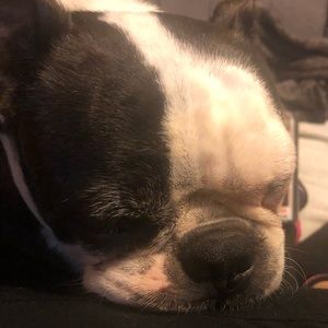 Meet your Posher, Rosalva